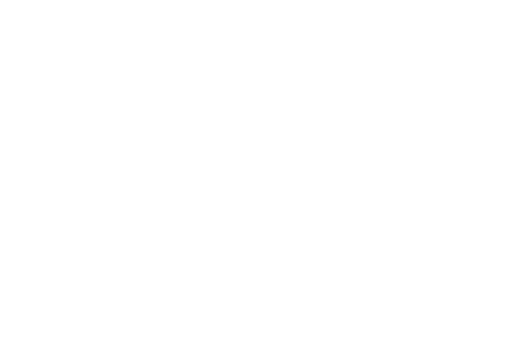   2019  Comune di Trieste Sindaco: Roberto Dipiazza Assessore alla Cultura: Giorgio Rossi Dipartimento Innovazione e    